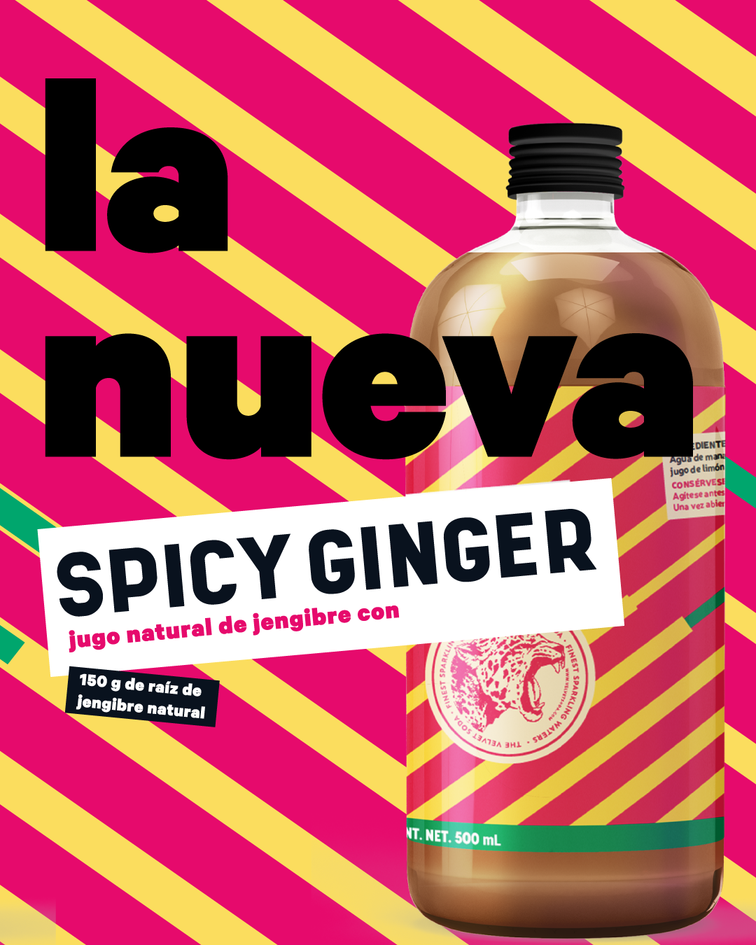 Spicy Ginger, la nueva cara de lo natural