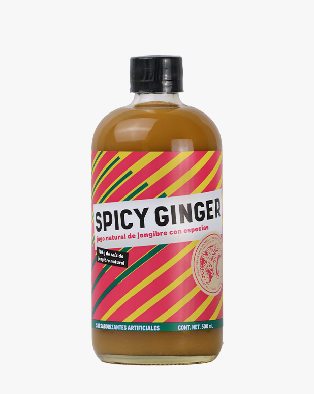 Velvet Soda Spicy Ginger (500 ml)